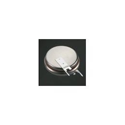 Pile Bouton CR2450N 2PV - RENATA / PANASONIC - Lithium