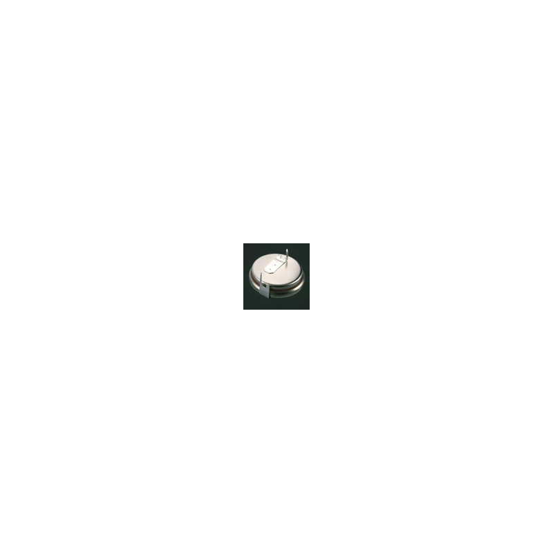 Pile Bouton CR1620 2PH  - RENATA / PANASONIC - Lithium