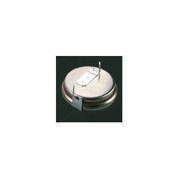 Pile Bouton CR2016 2PH - RENATA / PANASONIC - Lithium