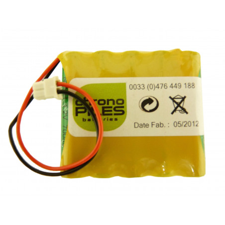 CHRONO Pile Batterie Alarme Compatible ARNOULD Intrusion Leaving E0416A - 6.0V - 700mAh + Connecteur Centrale