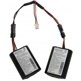 Kit de 2 batteries MCS740