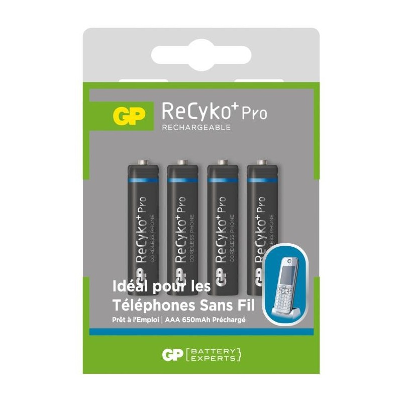 GP Batteries - Pack de 2 piles rechargeable Recyko+ AAA 650mAh