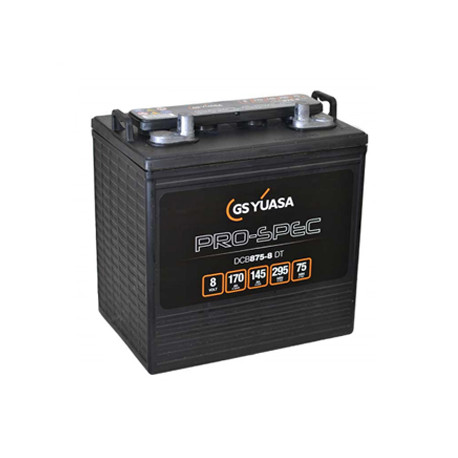Batterie DCB875-8 - YUASA PRO-SPEC - DEEP CYCLE - Compatible T875 ex CR165 - Golfette - 8V - 170Ah