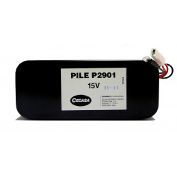 CEGASA Pile Alcaline P2901 - 15V - 10LR20