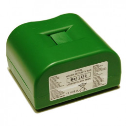 Pile Lithium DAITEM d'origine BATLI23 - 2x 3.6V - 18Ah
