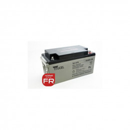 Batterie Y65-12FR - YUASA / YUCEL / YUVOLT - Plomb - AGM - 12V - 65.0Ah